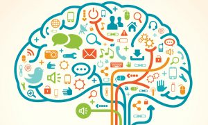 TRAINING KNOWLEDGE MANAGEMENT